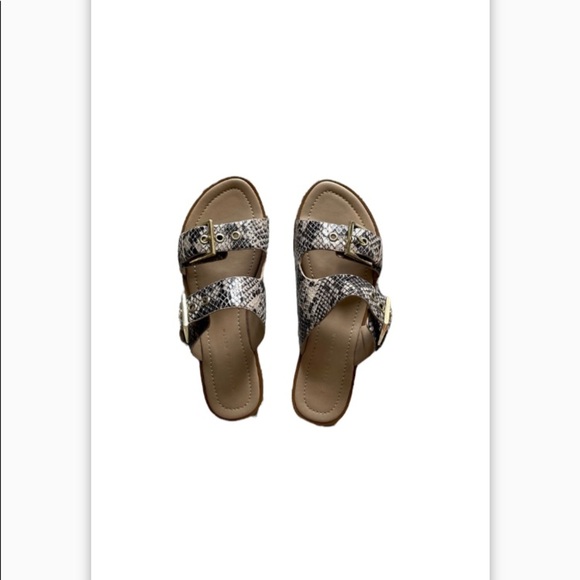 Charles & Keith Shoes - NIB Charles & Keith Snakeskin Buckle Slides Size 5.5